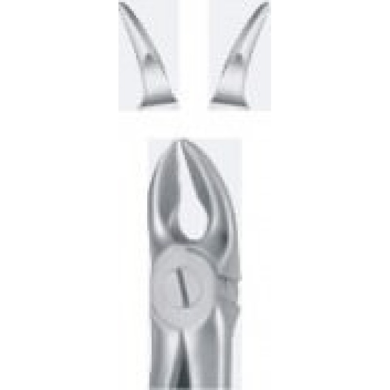 Tooth Forceps