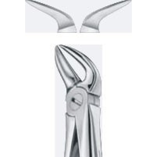 Tooth Forceps