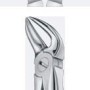 Tooth Forceps