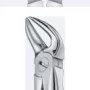 Tooth Forceps