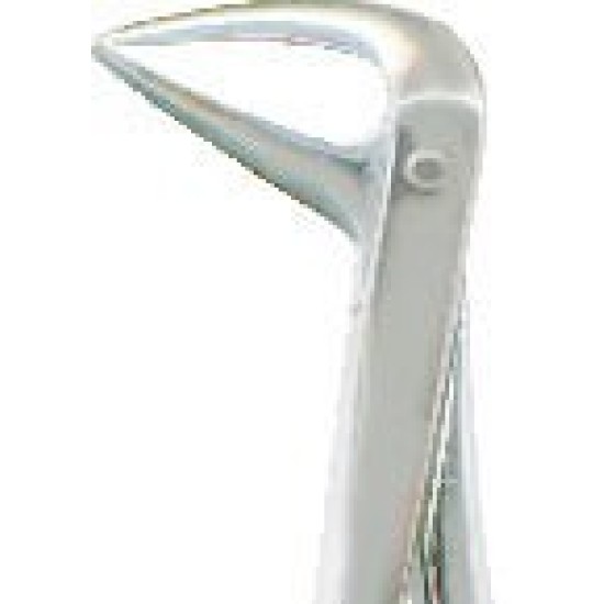 Tooth Forceps