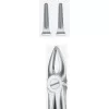 Tooth Forceps