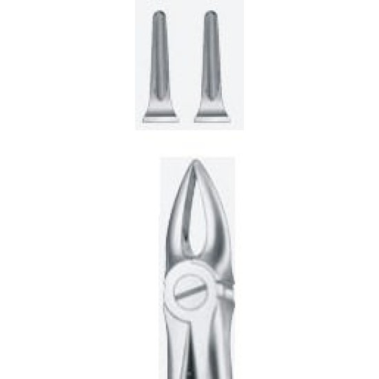 Tooth Forceps