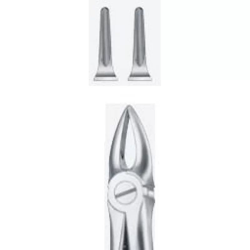 Tooth Forceps