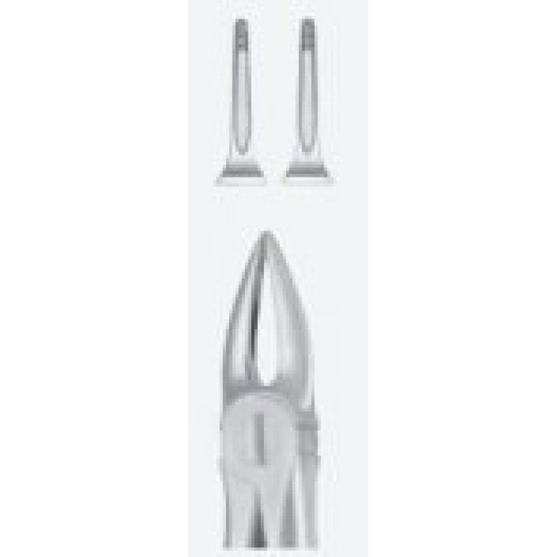 Tooth Forceps
