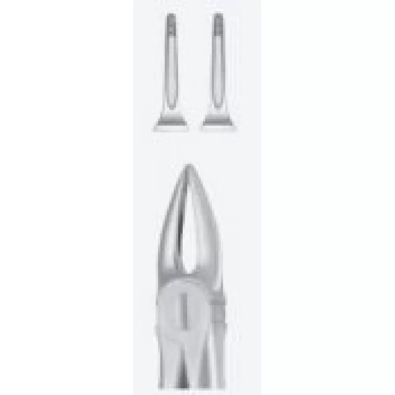 Tooth Forceps