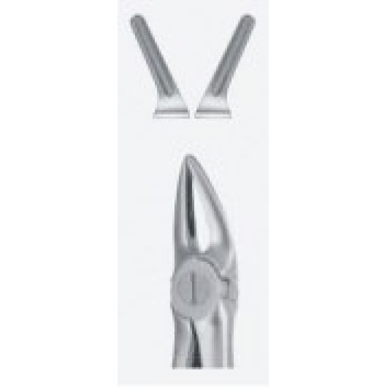 Tooth Forceps