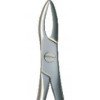 Tooth Forceps