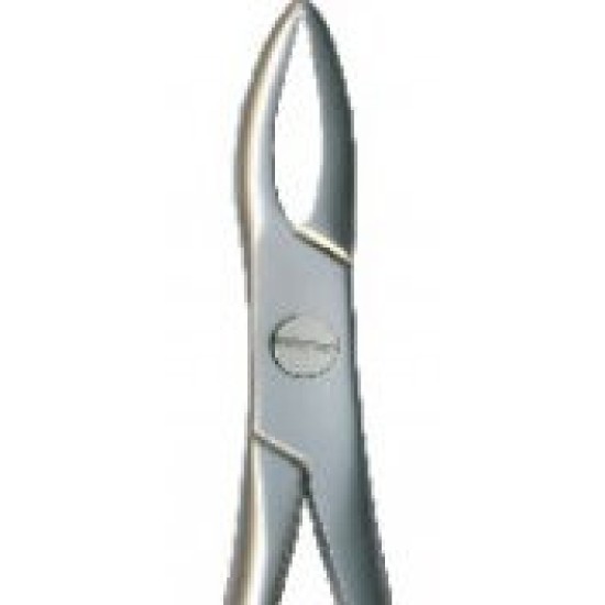 Tooth Forceps