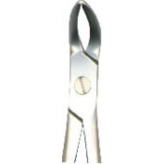 Tooth Forceps