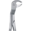 Tooth Forceps