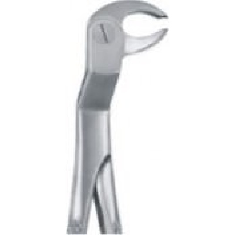 Tooth Forceps
