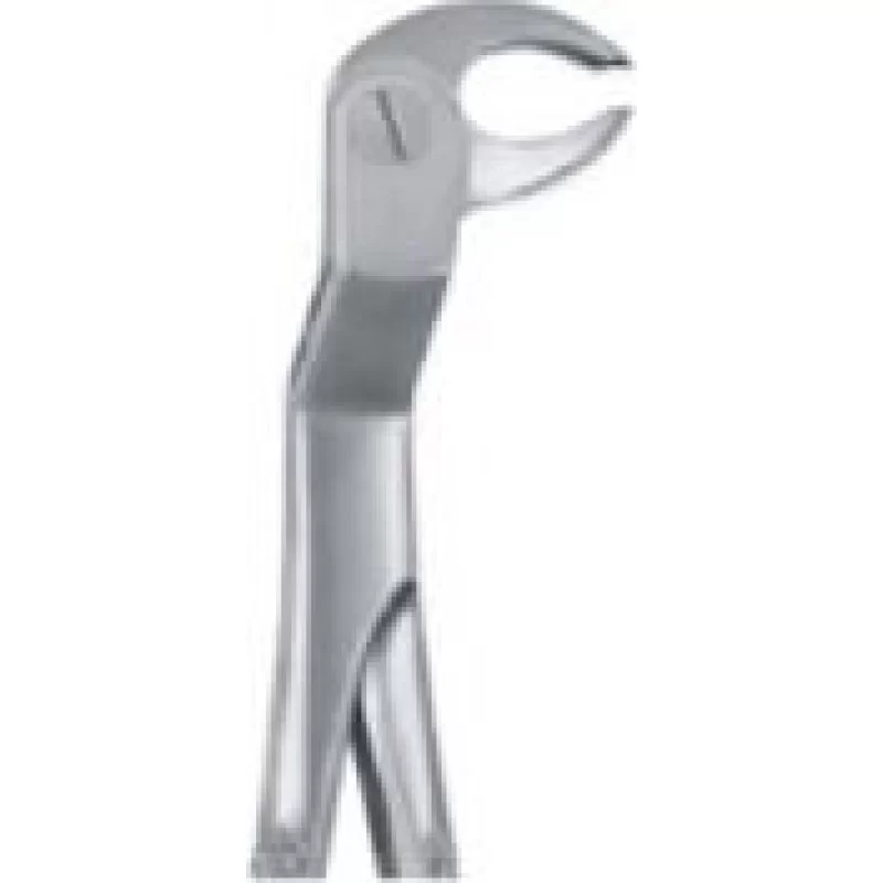 Tooth Forceps