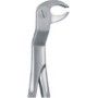 Tooth Forceps