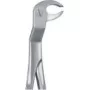 Tooth Forceps