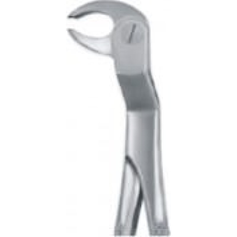 Tooth Forceps