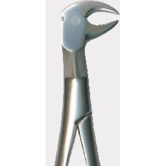 Tooth Forceps