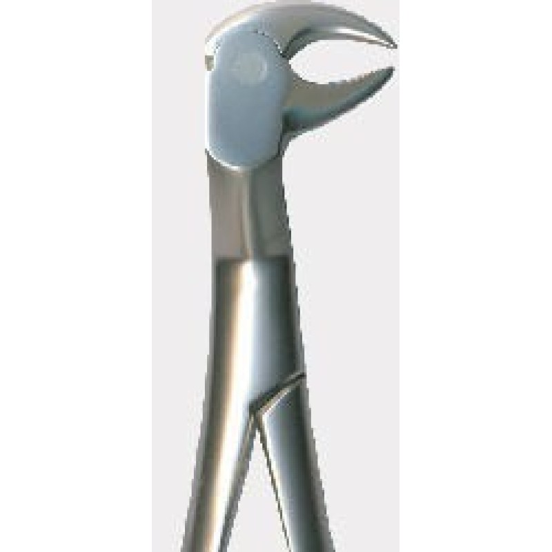 Tooth Forceps Tooth Forceps