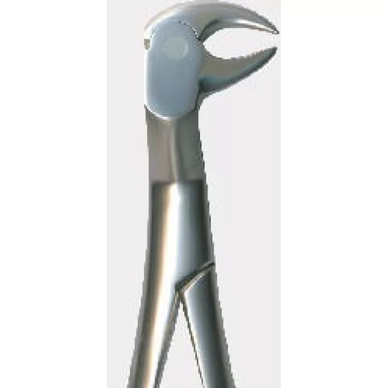 Tooth Forceps Tooth Forceps