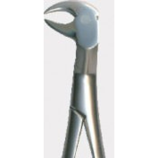 Tooth Forceps