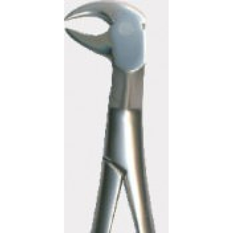 Tooth Forceps Tooth Forceps