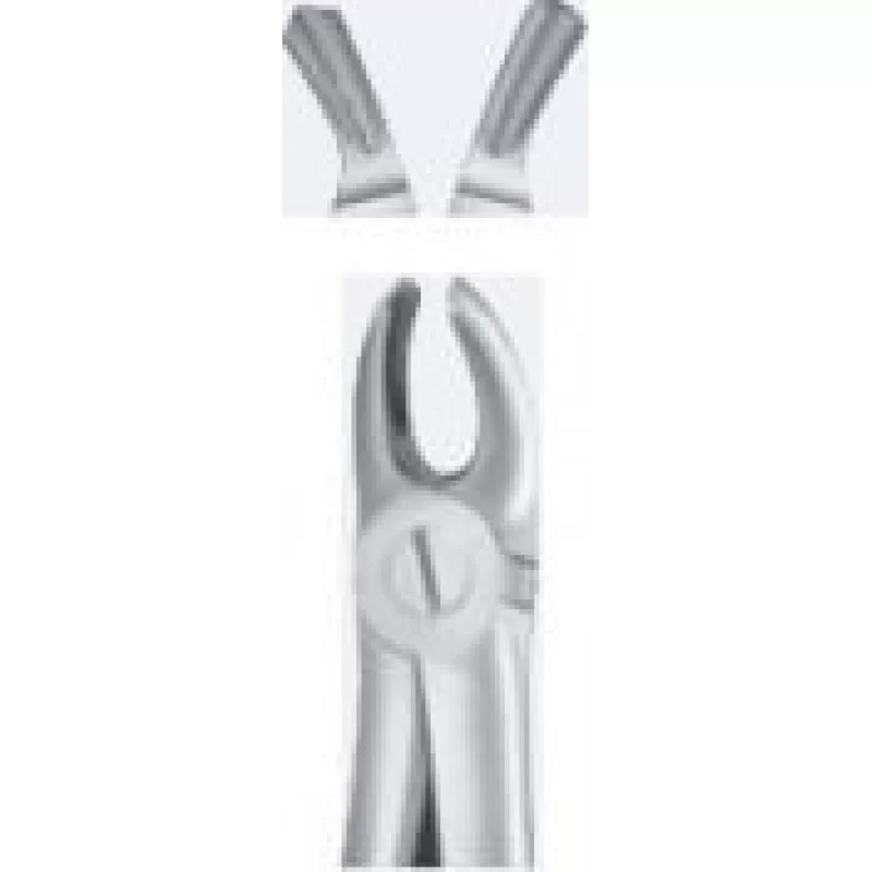 TOOTH FORCEPS