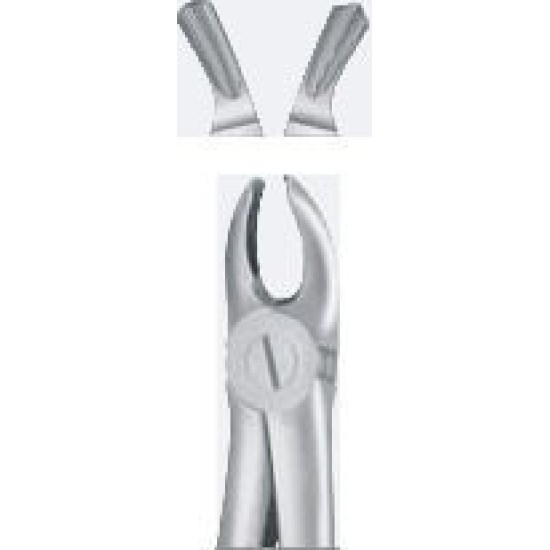 TOOTH FORCEPS