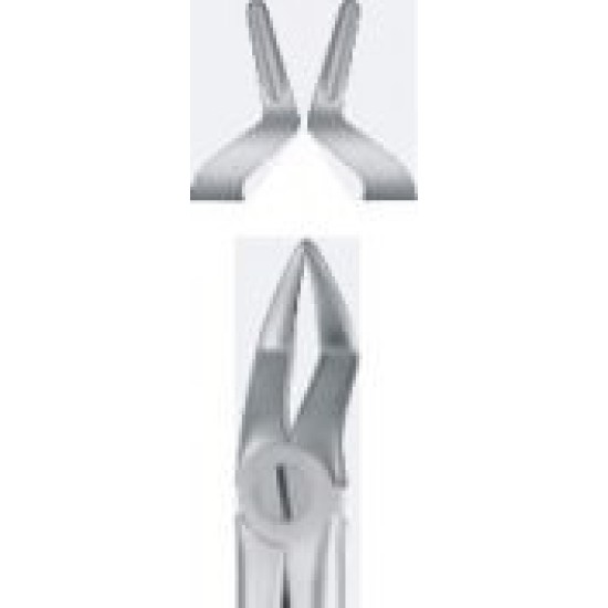 TOOTH FORCEPS