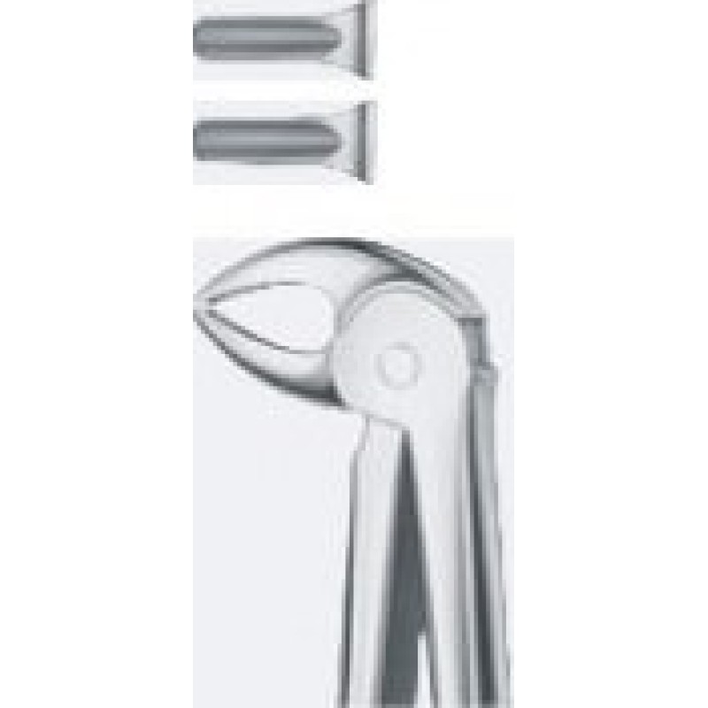 TOOTH FORCEPS TOOTH FORCEPS