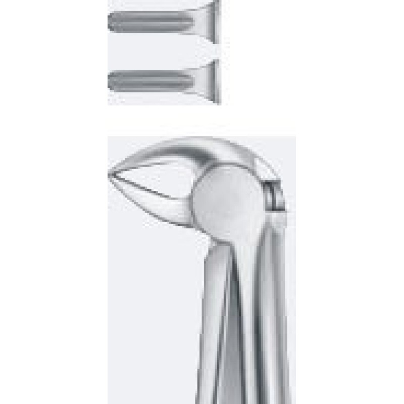 TOOTH FORCEPS