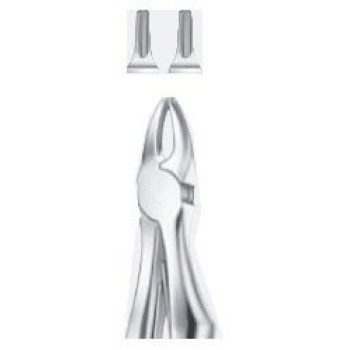 Tooth Forceps