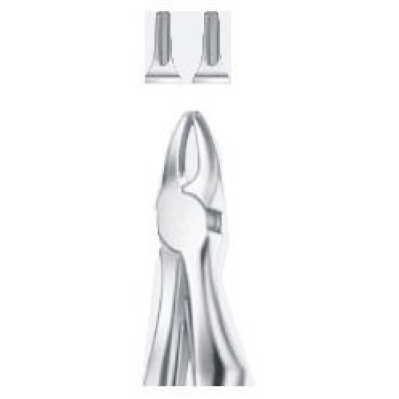 Tooth Forceps Tooth Forceps