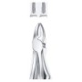 Tooth Forceps