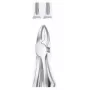 Tooth Forceps