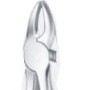 Tooth Forceps