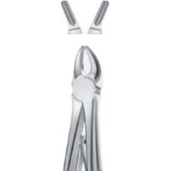 Tooth Forceps