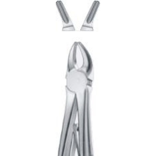 Tooth Forceps