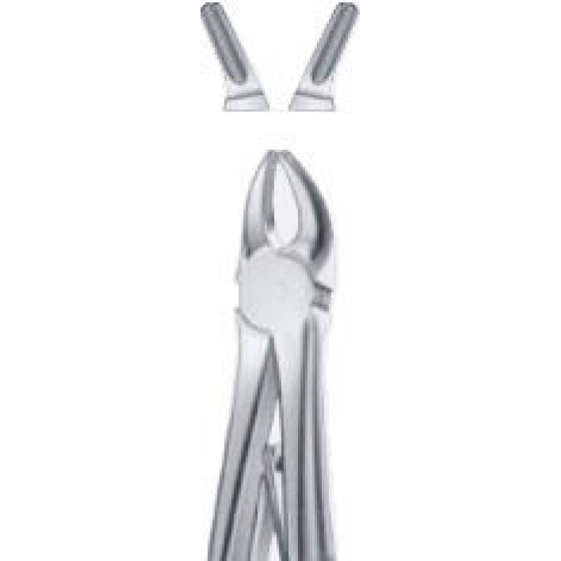 Tooth Forceps Tooth Forceps