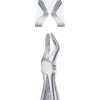 Tooth Forceps