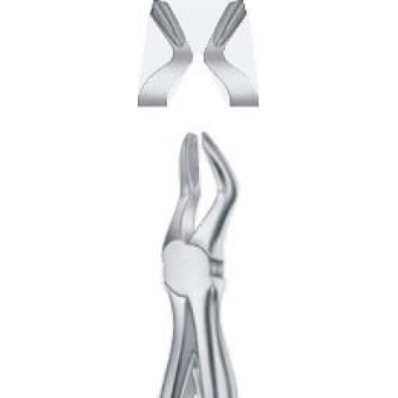 Tooth Forceps