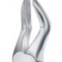 Tooth Forceps