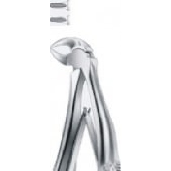 Tooth Forceps