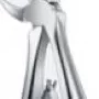 Tooth Forceps