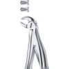 Tooth Forceps