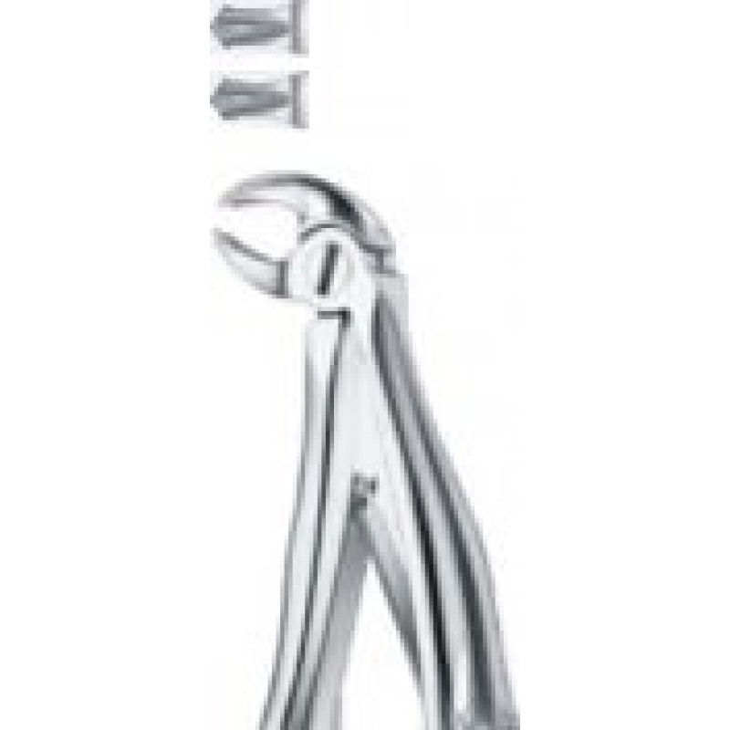 Tooth Forceps