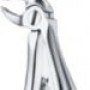 Tooth Forceps