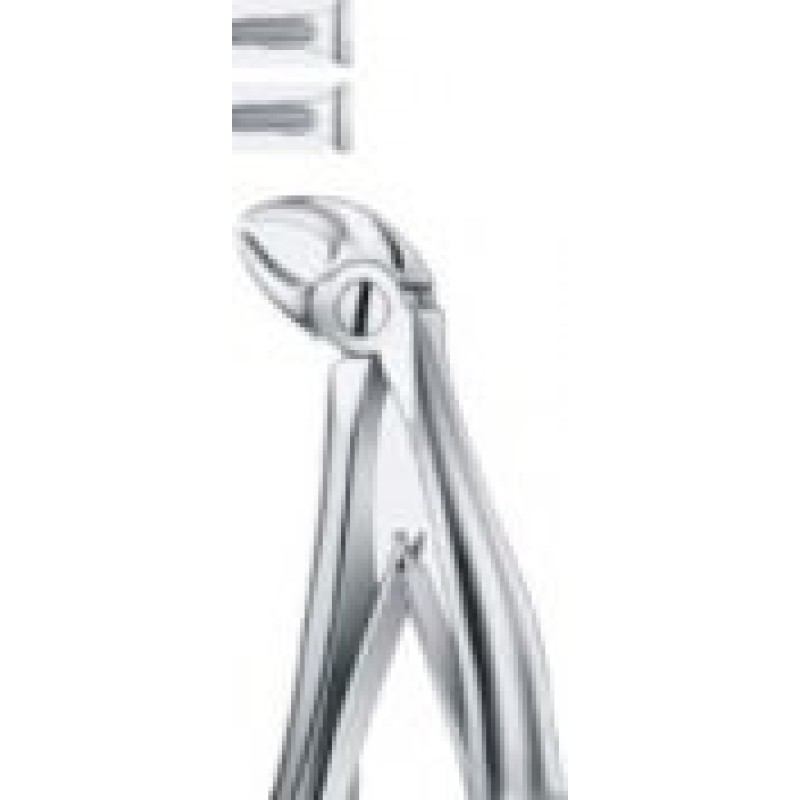 Tooth Forceps Tooth Forceps
