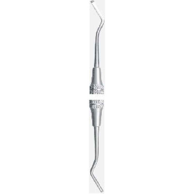 HOE Scaler