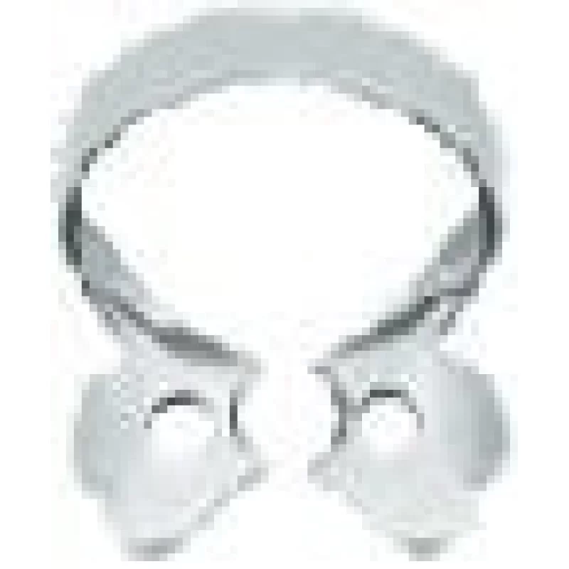 Rubber Dam Clamp